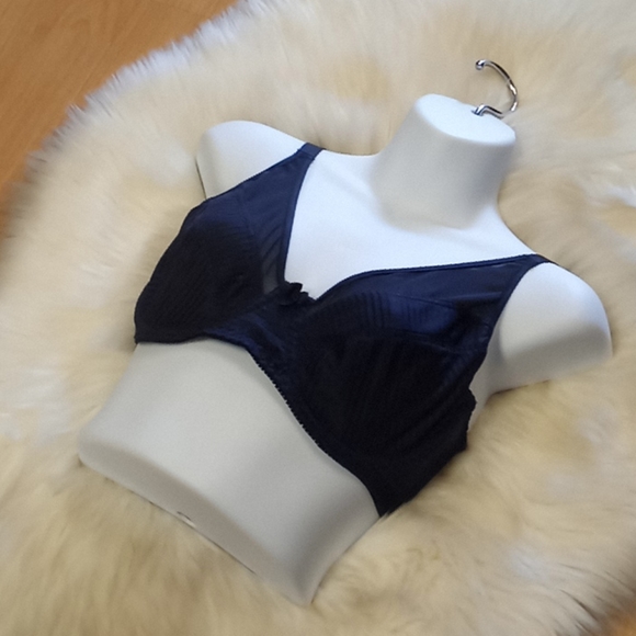 Curve Muse Satin & Mesh Striped Bra - Picture 10 of 16